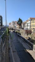 Innenstadt Funchal &ndash; &copy; Rebecca Biegert (Eberhardt TRAVEL)