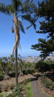 Botanischer Garten Funchal &ndash; &copy; Rebecca Biegert (Eberhardt TRAVEL)