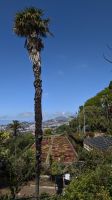 Botanischer Garten Funchal &ndash; &copy; Rebecca Biegert (Eberhardt TRAVEL)