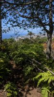 Botanischer Garten Funchal