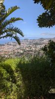 Botanischer Garten Funchal &ndash; &copy; Rebecca Biegert (Eberhardt TRAVEL)