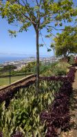 Botanischer Garten Funchal &ndash; &copy; Rebecca Biegert (Eberhardt TRAVEL)