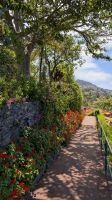 Botanischer Garten Funchal &ndash; &copy; Rebecca Biegert (Eberhardt TRAVEL)