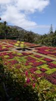 Botanischer Garten Funchal &ndash; &copy; Rebecca Biegert (Eberhardt TRAVEL)