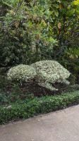 Botanischer Garten Funchal