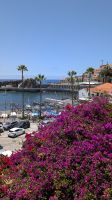 Câmara de Lobos &ndash; &copy; Rebecca Biegert (Eberhardt TRAVEL)