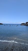 Câmara de Lobos &ndash; &copy; Rebecca Biegert (Eberhardt TRAVEL)