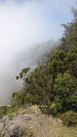 Cabo Girão &ndash; &copy; Rebecca Biegert (Eberhardt TRAVEL)