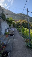 Wanderung Levada dos Maroços  &ndash; &copy; Rebecca Biegert (Eberhardt TRAVEL)