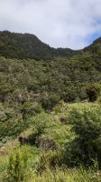 Wanderung Levada dos Maroços