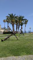 Hafen Funchal