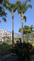 Stadtpark Santa Catarina Funchal &ndash; &copy; Rebecca Biegert (Eberhardt TRAVEL)