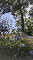 Stadtpark Santa Catarina Funchal &ndash; &copy; Rebecca Biegert (Eberhardt TRAVEL)
