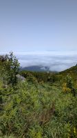 Wanderung auf den Pico Ruivo &ndash; &copy; Rebecca Biegert (Eberhardt TRAVEL)