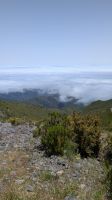 Wanderung auf den Pico Ruivo
