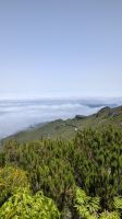 Wanderung auf den Pico Ruivo