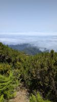 Wanderung auf den Pico Ruivo &ndash; &copy; Rebecca Biegert (Eberhardt TRAVEL)