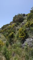 Wanderung auf den Pico Ruivo &ndash; &copy; Rebecca Biegert (Eberhardt TRAVEL)