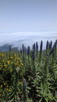 Wanderung auf den Pico Ruivo &ndash; &copy; Rebecca Biegert (Eberhardt TRAVEL)