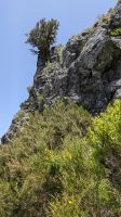 Wanderung auf den Pico Ruivo &ndash; &copy; Rebecca Biegert (Eberhardt TRAVEL)