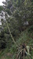 Wanderung nach Monte &ndash; &copy; Rebecca Biegert (Eberhardt TRAVEL)