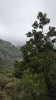 Wanderung nach Monte &ndash; &copy; Rebecca Biegert (Eberhardt TRAVEL)