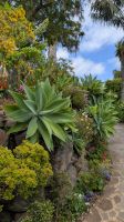 Quinta Splendida &ndash; &copy; Rebecca Biegert (Eberhardt TRAVEL)