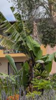 Quinta Splendida &ndash; &copy; Rebecca Biegert (Eberhardt TRAVEL)