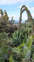 Orchideengarten Quinta da Boa Vista &ndash; &copy; Rebecca Biegert (Eberhardt TRAVEL)
