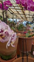 Orchideengarten Quinta da Boa Vista &ndash; &copy; Rebecca Biegert (Eberhardt TRAVEL)