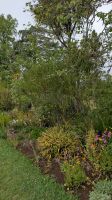 Palheiro Gardens / Blandy's botanischer Garten &ndash; &copy; Rebecca Biegert (Eberhardt TRAVEL)