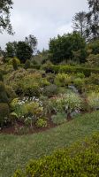 Palheiro Gardens / Blandy's botanischer Garten &ndash; &copy; Rebecca Biegert (Eberhardt TRAVEL)