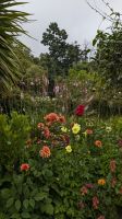 Palheiro Gardens / Blandy's botanischer Garten &ndash; &copy; Rebecca Biegert (Eberhardt TRAVEL)