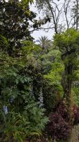 Palheiro Gardens / Blandy's botanischer Garten &ndash; &copy; Rebecca Biegert (Eberhardt TRAVEL)