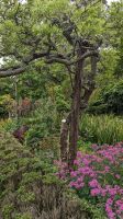 Palheiro Gardens / Blandy's botanischer Garten &ndash; &copy; Rebecca Biegert (Eberhardt TRAVEL)