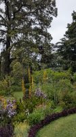Palheiro Gardens / Blandy's botanischer Garten &ndash; &copy; Rebecca Biegert (Eberhardt TRAVEL)