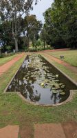 Palheiro Gardens / Blandy's botanischer Garten &ndash; &copy; Rebecca Biegert (Eberhardt TRAVEL)
