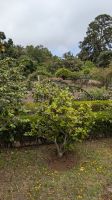 Palheiro Gardens / Blandy's botanischer Garten &ndash; &copy; Rebecca Biegert (Eberhardt TRAVEL)