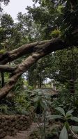 Monte Palace Tropical Garden &ndash; &copy; Rebecca Biegert (Eberhardt TRAVEL)