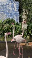 Monte Palace Tropical Garden &ndash; &copy; Rebecca Biegert (Eberhardt TRAVEL)