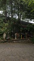 Monte Palace Tropical Garden