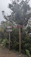 Wanderung im Lorbeerwald von Fanal &ndash; &copy; Rebecca Biegert (Eberhardt TRAVEL)