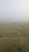 Wanderung im Lorbeerwald von Fanal &ndash; &copy; Rebecca Biegert (Eberhardt TRAVEL)