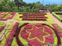Botanische Garten Funchal.jpg &ndash; &copy; Franciska Bauer (Eberhardt TRAVEL)