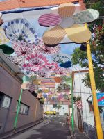 Camara de Lobos.jpg &ndash; &copy; Franciska Bauer (Eberhardt TRAVEL)