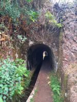 Wanderweg.jpg &ndash; &copy; Franciska Bauer (Eberhardt TRAVEL)