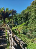 Wanderweg.jpg &ndash; &copy; Franciska Bauer (Eberhardt TRAVEL)