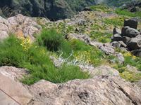 Pico do Arieiro &ndash; &copy; Stefanie Knisse (Eberhardt TRAVEL)
