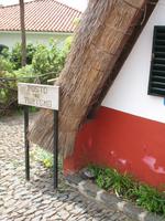 Santana &ndash; &copy; Stefanie Knisse (Eberhardt TRAVEL)