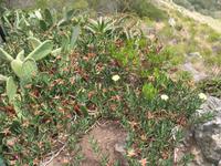 Pico do Facho &ndash; &copy; Stefanie Knisse (Eberhardt TRAVEL)